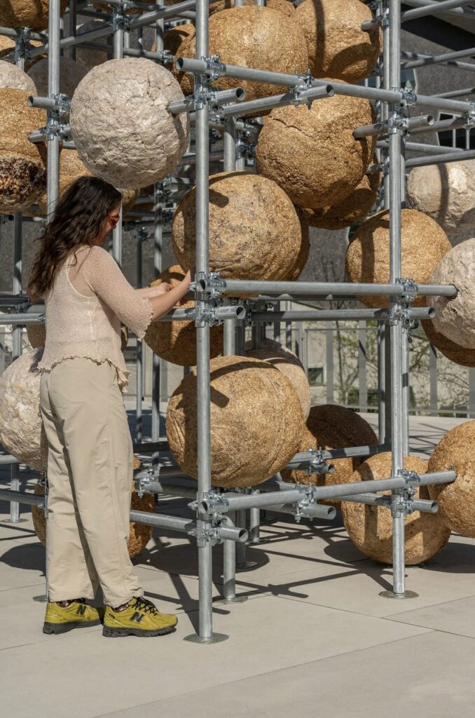 Installation of Growing matter(s)